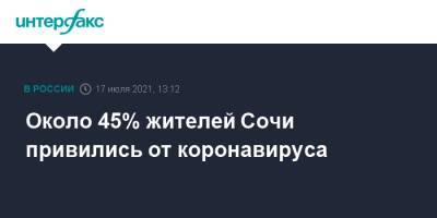 Около 45% жителей Сочи привились от коронавируса - interfax.ru - Москва - Сочи