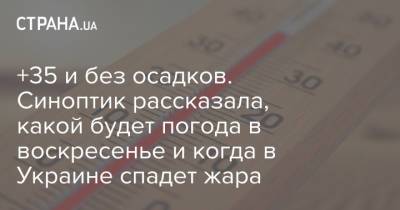 Наталья Диденко - +35 и без осадков. Синоптик рассказала, какой будет погода в воскресенье и когда в Украине спадет жара - strana.ua - Украина - Киев