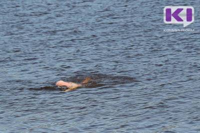 В Ижемском районе по факту гибели подростка на воде организована процессуальная проверка - komiinform.ru - Россия - респ. Коми - район Ижемский