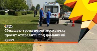 Валерия Башкирова - Сбившую троих детей москвичку просят отправить под домашний арест - ridus.ru - Москва - Россия - район Солнцево
