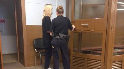 Сбившую на переходе троих детей москвичку поместили под домашний арест - vesti.ru