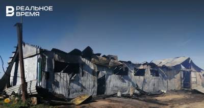 В Высокогорском районе Татарстана на животноводческой ферме сгорело здание - realnoevremya.ru - Россия - респ. Татарстан - район Высокогорский