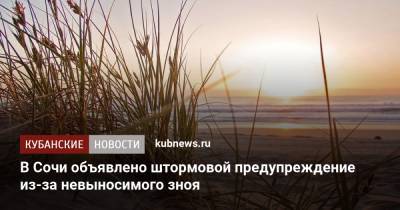 В Сочи объявлено штормовой предупреждение из-за невыносимого зноя - kubnews.ru - Россия - Сочи - Краснодарский край