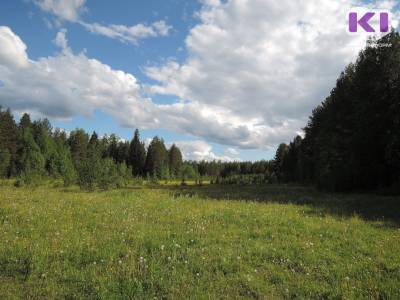 Минприроды Коми продолжает принимать работы на конкурс "Сезон фотоохоты на ООПТ" - komiinform.ru - респ. Коми