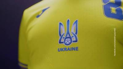 Андрей Павелко - Лозунг националистов станет символом футбола Украины - vesti.ru - Украина