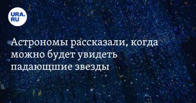 Астрономы рассказали, когда можно будет увидеть падающие звезды. Дата и время - ura.news