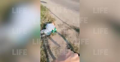 В Южноуральске велосипедист случайно нашёл на обочине спящего мальчика - reendex.ru - Южноуральск