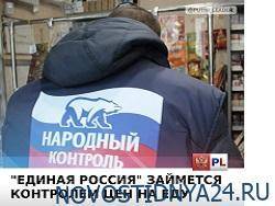 Владимир Путин - Андрей Турчак - «Единая Россия» займется координацией цен на продукты - novostidnya24.ru - Россия - Ленинградская обл.