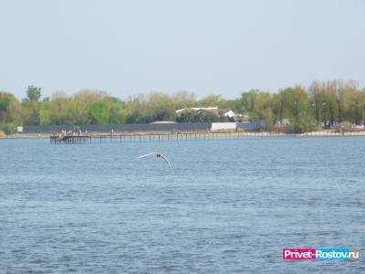 Ростовчане пожаловались на массовое отравление детей после купания на пляжах вдоль реки Дон - privet-rostov.ru - Ростов-На-Дону