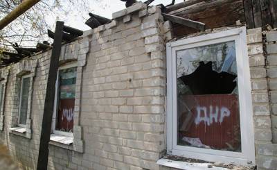 Halo noviny (Чехия): голуби — символ мира и дружбы - «Политика» - novosti-dny.com - Донецк - Чехия - Донбасс