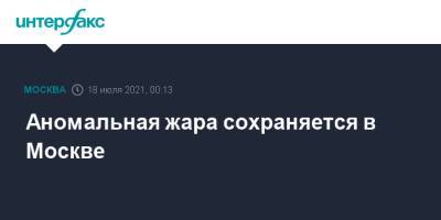 Аномальная жара сохраняется в Москве - interfax.ru - Москва - Россия