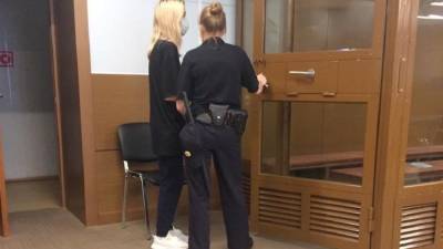 Валерия Башкирова - Суд отправил под домашний арест сбившую трех детей москвичку - newdaynews.ru - Москва