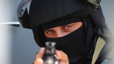 Кот Чешир из кальянной вызвал группу быстрого реагирования - crimea.ria.ru - Крым - Симферополь