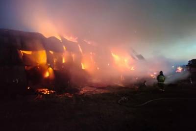 В Ивановской области два с половиной часа тушили ангар с сеном - mkivanovo.ru - Ивановская обл.