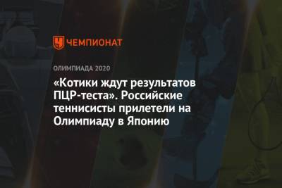 Екатерина Александрова - Карен Хачанов - Даниил Медведев - Анастасий Павлюченков - Андрей Рублев - Вероника Кудерметова - Елена Веснина - Аслан Карацев - «Котики ждут результатов ПЦР-теста». Российские теннисисты прилетели на Олимпиаду в Японию - championat.com - Россия - Токио - Япония - Рио-Де-Жанейро - Южно-Сахалинск