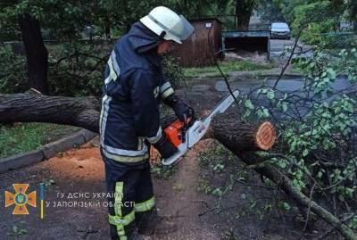 На Киевщине из-за непогоды погибли два человека, еще один - в больнице - kp.ua - Украина - Киевская обл. - Черниговская обл. - Житомирская обл.
