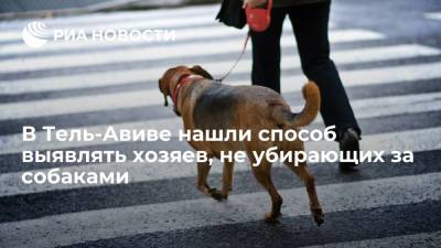 В Тель-Авиве соберут образцы ДНК собак, чтобы выявлять хозяев, не убирающих за питомцами - ria.ru - Тель-Авив