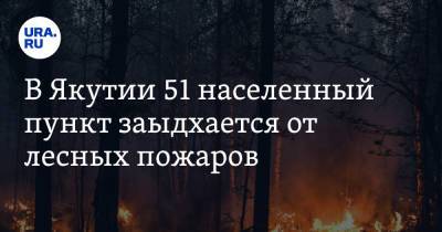 В Якутии 51 населенный пункт задыхается от лесных пожаров - ura.news - респ. Саха - Якутск
