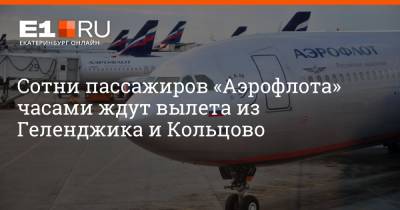 Артем Устюжанин - Сотни пассажиров «Аэрофлота» часами ждут вылета из Геленджика и Кольцово - e1.ru - Анапа - Краснодар - Екатеринбург - Геленджик