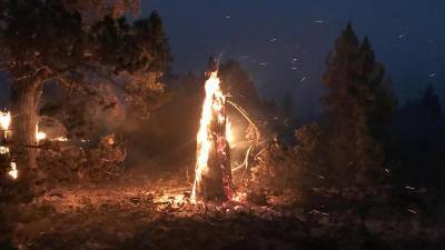 Лесные пожары в Орегоне - ru.euronews.com - США - Франция - Испания - Афганистан - штат Орегон