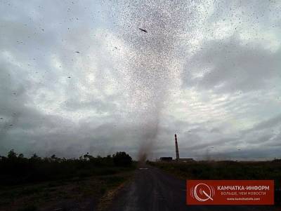 На Камчатке жители засняли торнадо из комаров - znak.com - Усть-Камчатск