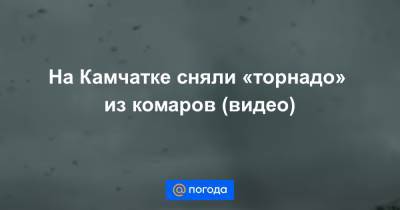 Анна Лысенко - На Камчатке сняли «торнадо» из комаров (видео) - news.mail.ru - респ. Саха