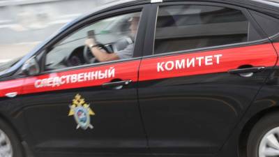 Александр Хинштейн - Следователи инициируют передачу в СК дела о наезде на детей в Москве - iz.ru - Москва - Россия - Израиль