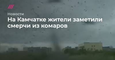На Камчатке жители заметили смерчи из комаров - tvrain.ru - Камчатск