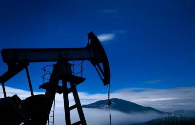Страны-участницы ОПЕК+ договорились об увеличении добычи нефти до конца 2021 года - ont.by - Белоруссия