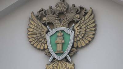 Валерия Башкирова - Прокуратура потребовала ужесточить обвинение сбившей детей в Москве студентке - iz.ru - Москва - Израиль