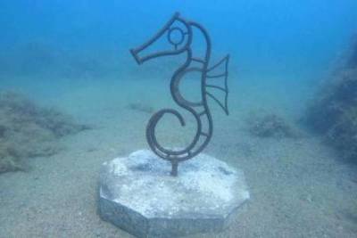 На дне Двуякорной бухты появилась фигура гигантского морского конька - crimea.mk.ru