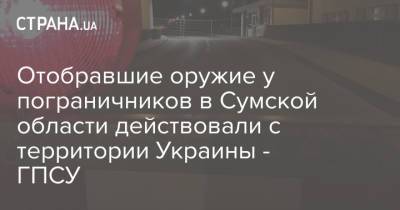 Андрей Демченко - Отобравшие оружие у пограничников в Сумской области действовали с территории Украины - ГПСУ - strana.ua - Россия - Украина - Сумская обл.