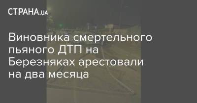 Виновника смертельного пьяного ДТП на Березняках арестовали на два месяца - strana.ua - Украина - Киев - Житомир