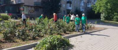 В Бахмуте привели в порядок клумбы на бульваре Металлургов - w-n.com.ua
