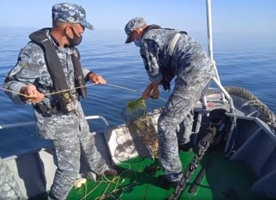 Одесские пограничники спасли в Черном море 1000 крабов (видео) - odessa-life.od.ua - Украина