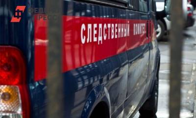 Александр Бастрыкин - Уголовное дело по факту смертельного ДТП с детьми передадут в СК - fedpress.ru - Москва - Россия