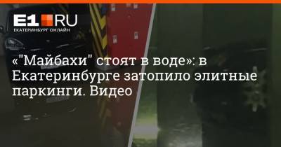 Сергей Рябков - «"Майбахи" стоят в воде»: в Екатеринбурге затопило элитные паркинги. Видео - e1.ru - Екатеринбург