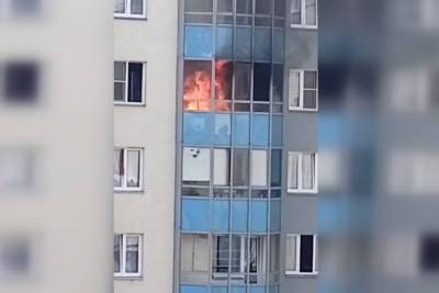 В Красносельском районе Петербурга на балконе многоэтажки вспыхнул пожар - spb.mk.ru - Россия - Санкт-Петербург