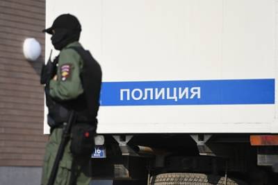 Александр Макаров - Иван Мельников - На журналистку «Ленты.ру» составили протокол - lenta.ru - Москва - Россия