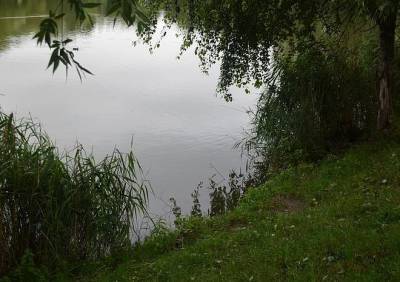В пруду в Дашково-Песочне утонул 35-летний мигрант - ya62.ru - Узбекистан - Рязань