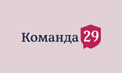Адвокатская группа «Команда 29» объявила о закрытии из-за давления властей - og.ru
