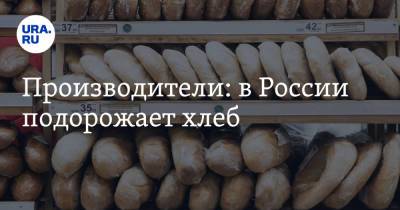 Дмитрий Козлов - Производители: в России подорожает хлеб - ura.news - Россия
