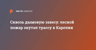 Сквозь дымовую завесу: лесной пожар окутал трассу в Карелии - ren.tv - Россия - республика Карелия