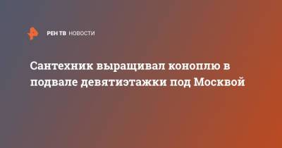 Сантехник выращивал коноплю в подвале девятиэтажки под Москвой - ren.tv - Москва - Московская обл. - Московская область