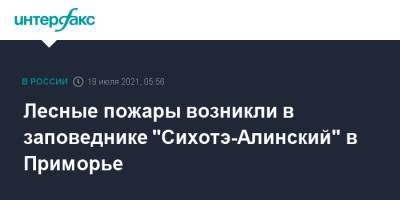 Лесные пожары возникли в заповеднике "Сихотэ-Алинский" в Приморье - interfax.ru - Москва - Приморье край - район Красноармейский