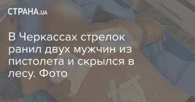 В Черкассах стрелок ранил двух мужчин из пистолета и скрылся в лесу. Фото - strana.ua - Украина - Черкассы