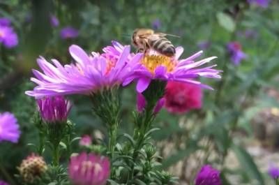 Прислушайтесь к своей интуиции: советы астрологов по всем знакам Зодиака на 19 июля - ukrainianwall.com - Украина