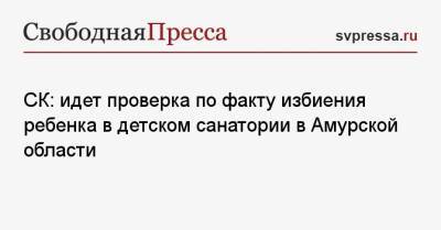 СК: идет проверка по факту избиения ребенка в детском санатории в Амурской области - svpressa.ru - Москва - США - Новосибирск - Амурская обл.