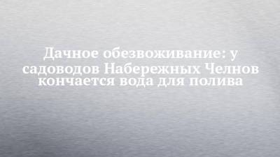 Дачное обезвоживание: у садоводов Набережных Челнов кончается вода для полива - chelny-izvest.ru - Набережные Челны