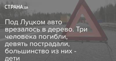 Под Луцком авто врезалось в дерево. Три человека погибли, девять пострадали, большинство из них - дети - strana.ua - Украина - Киев - Луцк